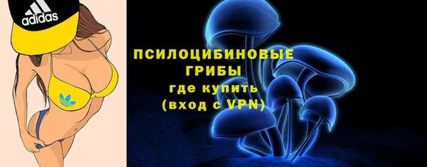 соль курить ск Осинники