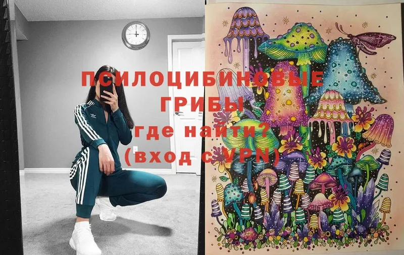 Галлюциногенные грибы Psilocybine cubensis  Великий Устюг 