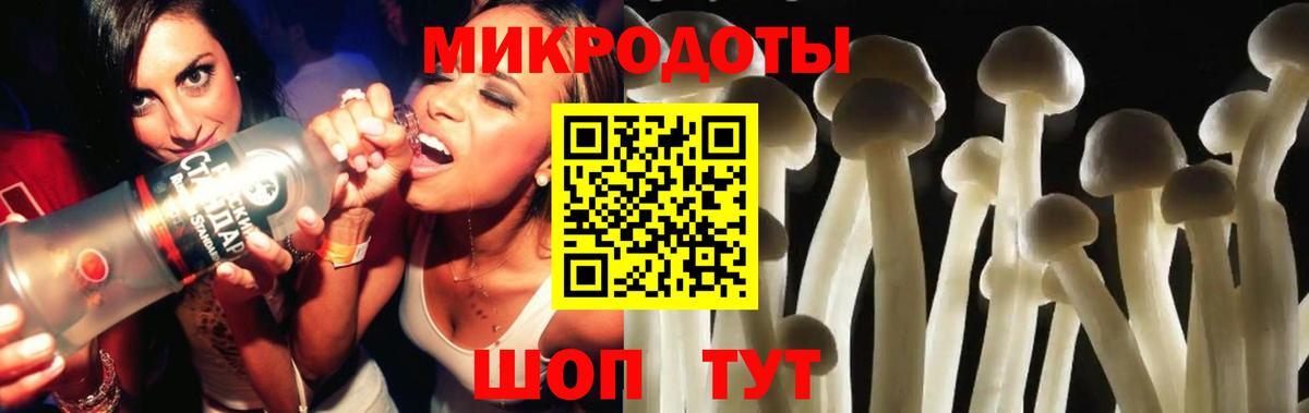 Великий Устюг  Галлюциногенные грибы Psilocybine cubensis  Вход с VPN 