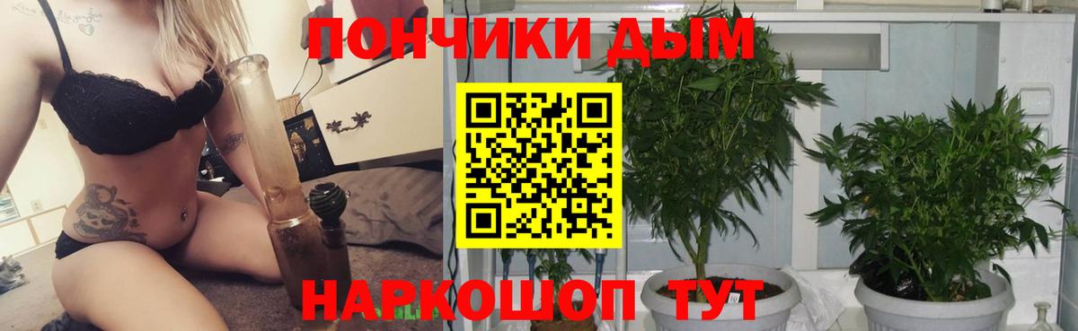 Псилоцибиновые грибы Великий Устюг